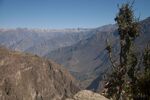 DSC_5180.jpg