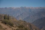 DSC_5183.jpg
