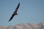 DSC_5260.jpg