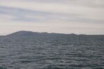 DSC_4914.jpg