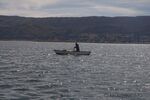 DSC_4916.jpg