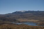 DSC_5049.jpg