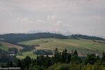 DSC_9631.jpg
