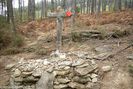 PA242179.jpg