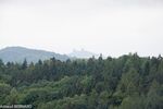 DSC_8828.jpg