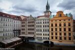DSC_9082.jpg