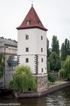 DSC_8741.jpg
