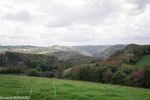 DSC_0979.jpg
