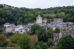 DSC_0769.jpg