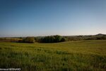 DSC_1568.jpg