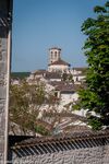 DSC_1569.jpg