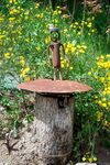 DSC_1593.jpg