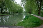 DSC_1653.jpg