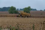 DSC_2312.jpg