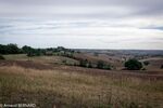 DSC_2194.jpg