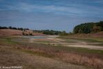DSC_2249.jpg