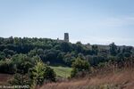 DSC_2153.jpg