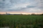 DSC_3040.jpg