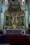 DSC_3409.jpg