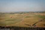 DSC_3342.jpg