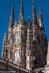 DSC_3235.jpg