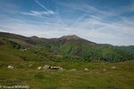 DSC_2676.jpg