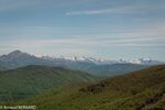DSC_2690.jpg