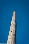DSC_3834.jpg