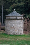 DSC_4025.jpg
