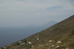 DSC_9936.jpg