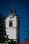 DSC_9864.jpg