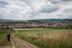 DSC_9920.jpg