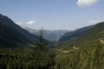 DSC_0463.jpg